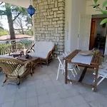 Pentalocale Con Piscina E Incluse Taunus Vacanze Girasoli * Numana