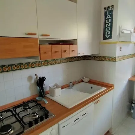 Girasoli - Taunus Vacanze * Numana