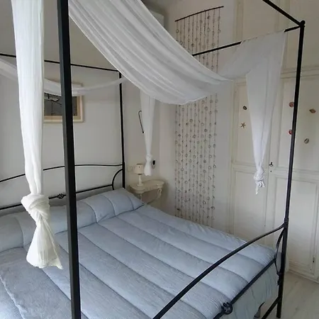 Girasoli - Taunus Vacanze Numana